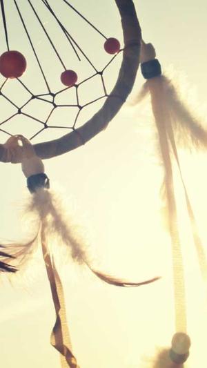 明月辅助破解版截图5