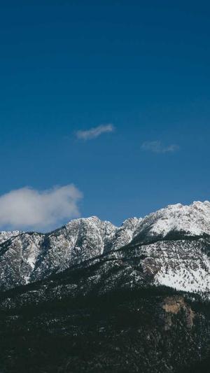最新a片截图1